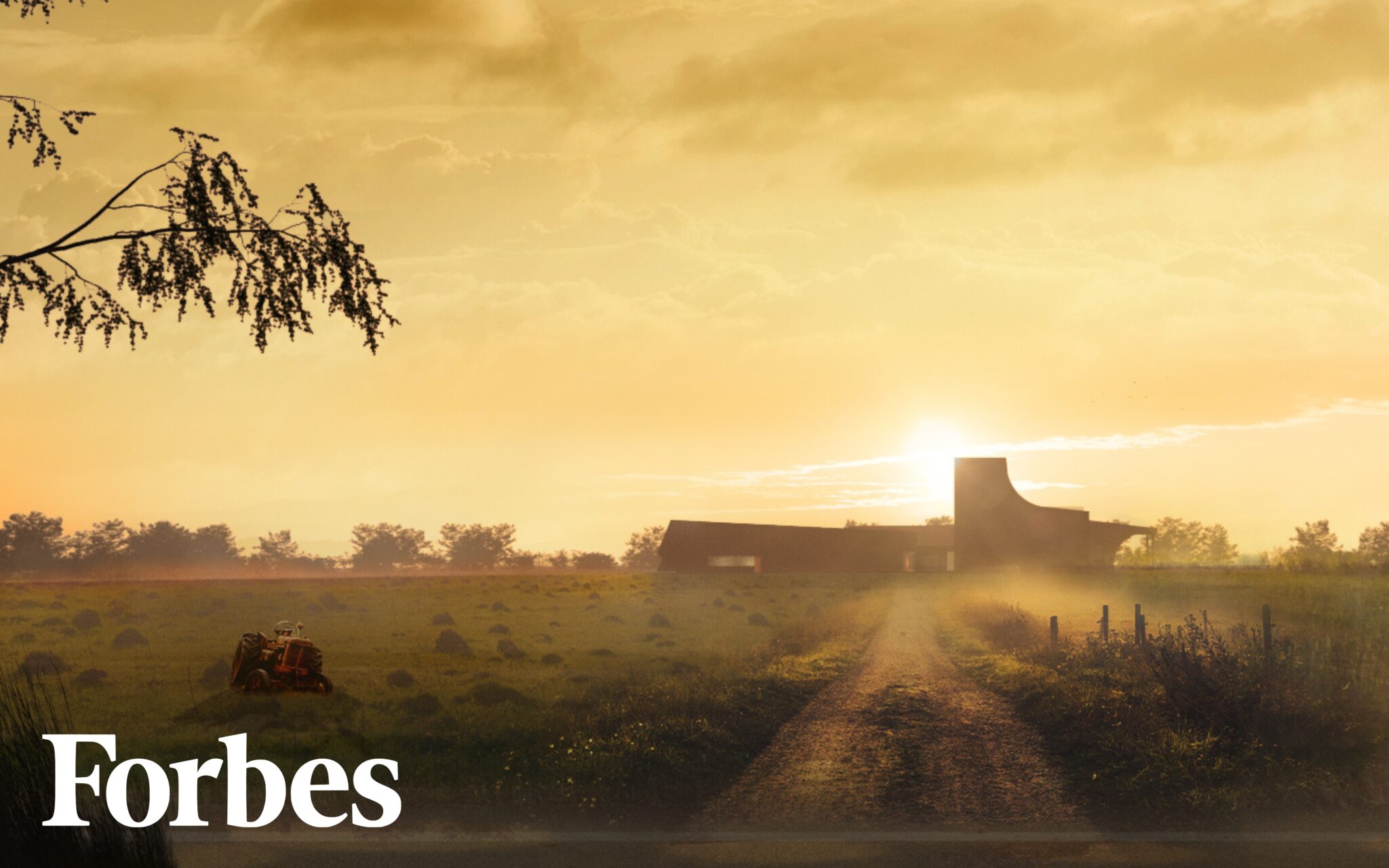 Volta Winery is Featured in Forbes!